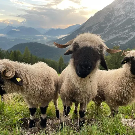 Antoni Apartements * Seefeld in Tirol