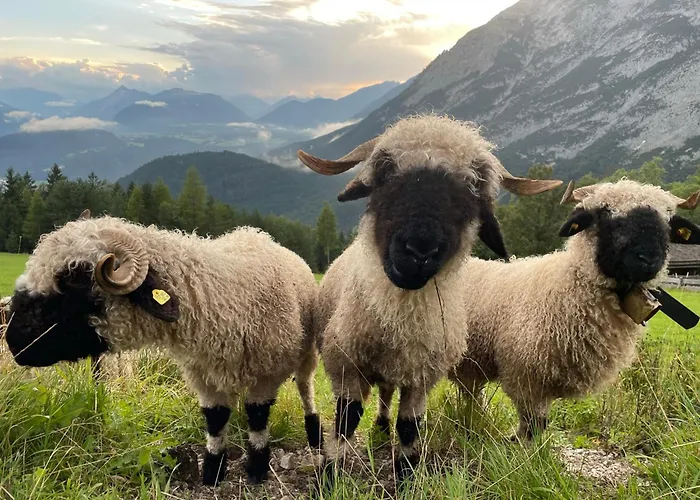 Antoni Apartements * Seefeld w Tirolu